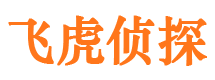 襄汾市调查公司